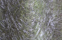 Clandown fibreglass roof work